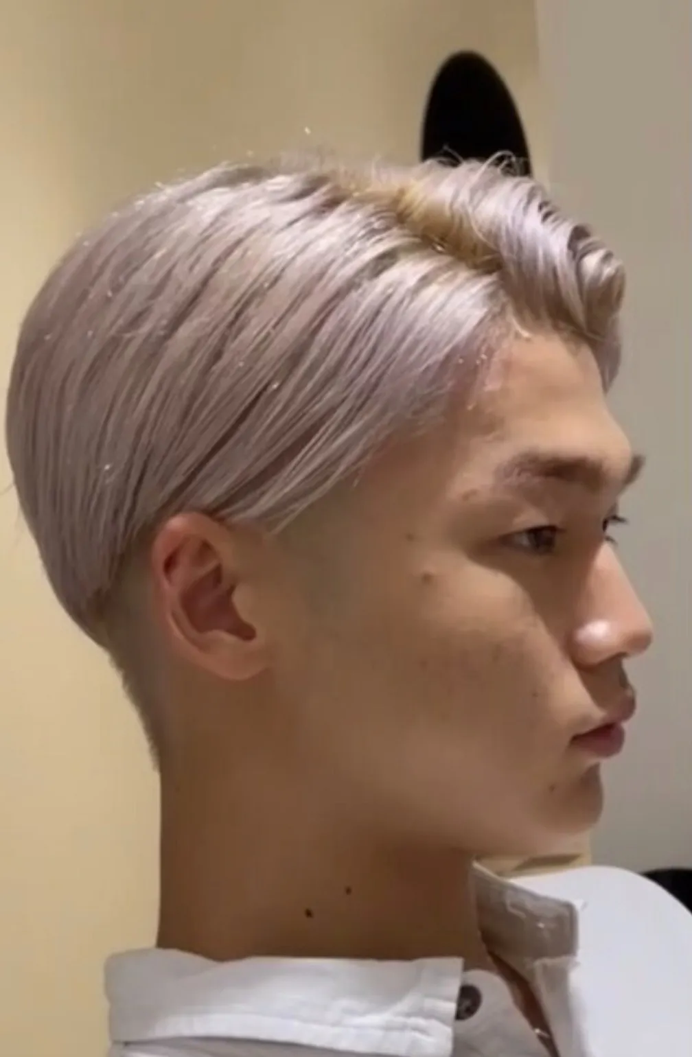 ホワイトカラー/ダブルカラー/メンズ