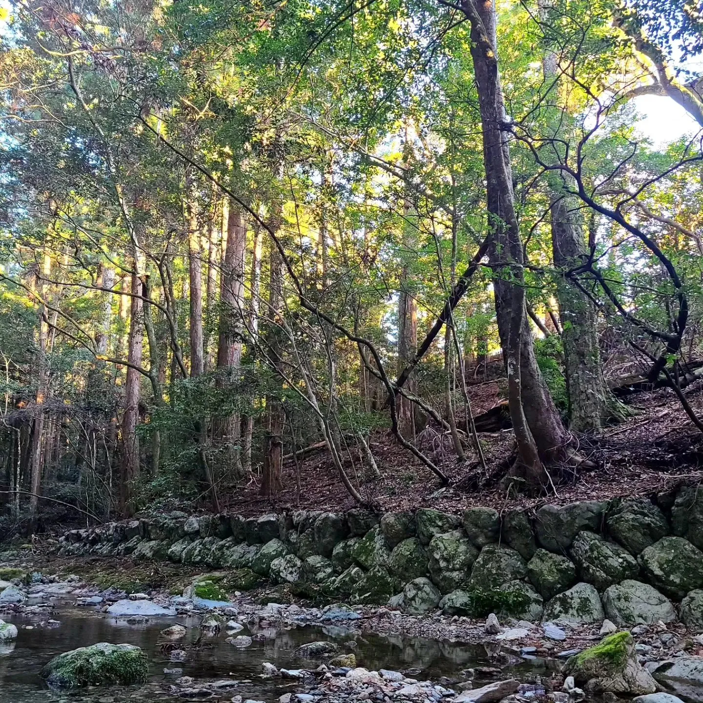 皆様、昨年も本当にお疲れさまでした。