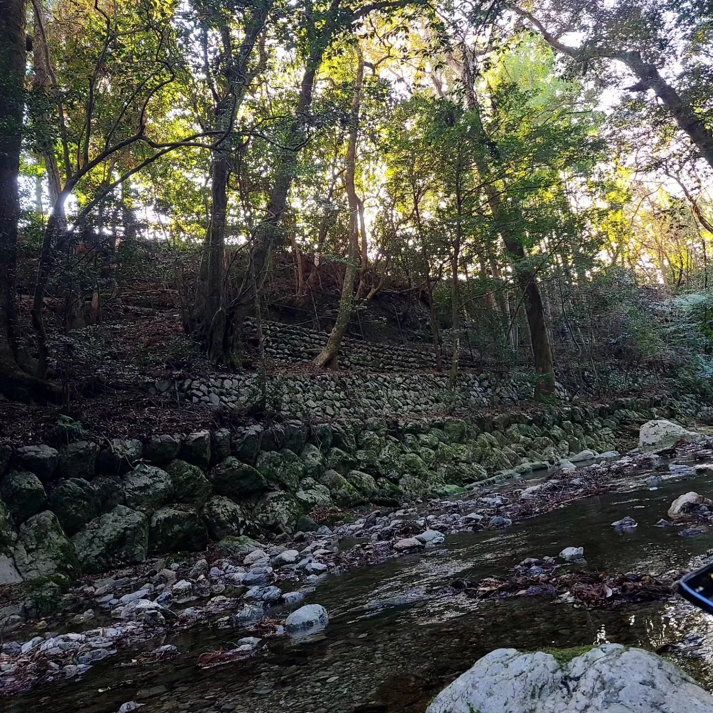 皆様、昨年も本当にお疲れさまでした。